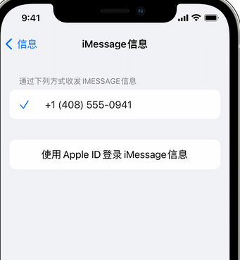 无极apple维修iPhone上无法正常发送iMessage信息