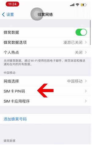 无极苹果14维修网分享如何给iPhone14的SIM卡设置密码 