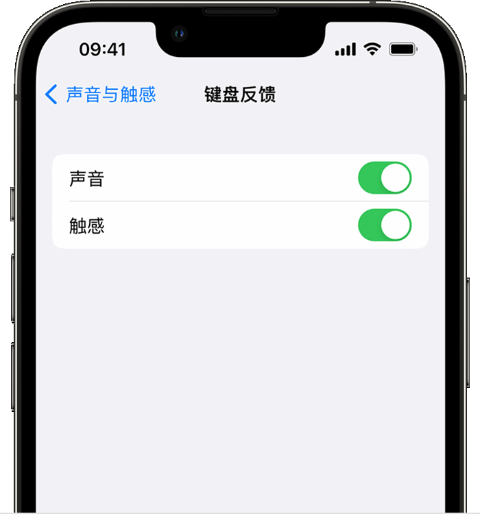 无极苹果14维修店分享如何在 iPhone 14 机型中使用触感键盘 