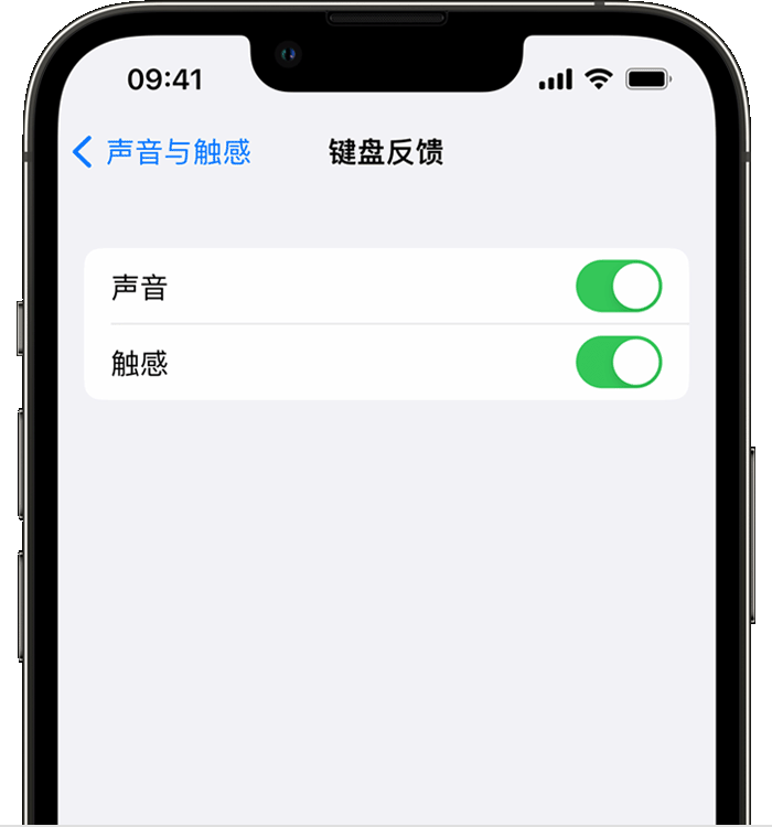 无极苹果14维修分享iPhone 14 系列机型如何开启键盘声音或触感反馈 