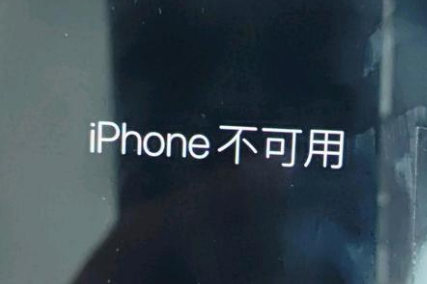 无极苹果服务网点分享锁屏界面显示“iPhone 不可用”如何解决 