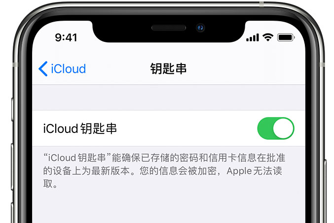 无极苹果手机维修分享在 iPhone 上开启 iCloud 钥匙串之后会储存哪些信息 