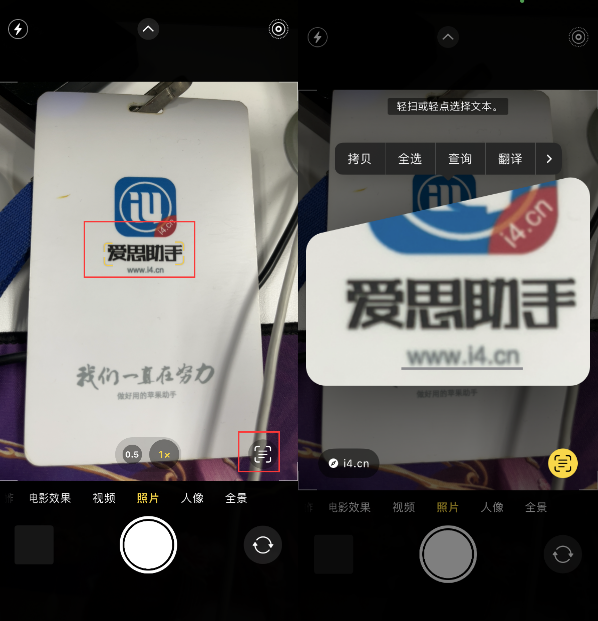 无极苹果手机维修分享升级iOS 16后如何通过相机翻译文本 