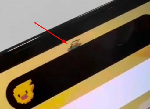 无极苹果14维修分享iPhone 14 Pro Max灵动岛怎么养宠物 