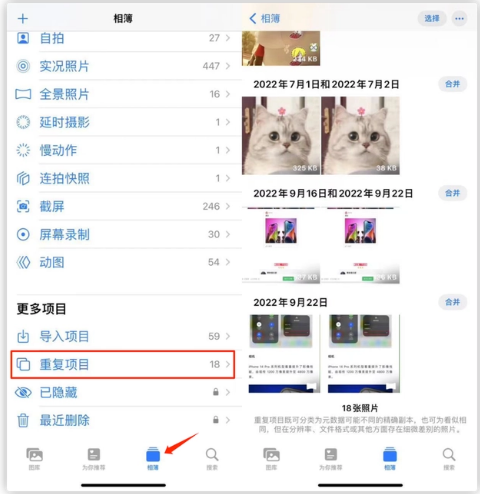 无极苹果手机维修分享iOS 16 中相册重复项目功能使用方法 