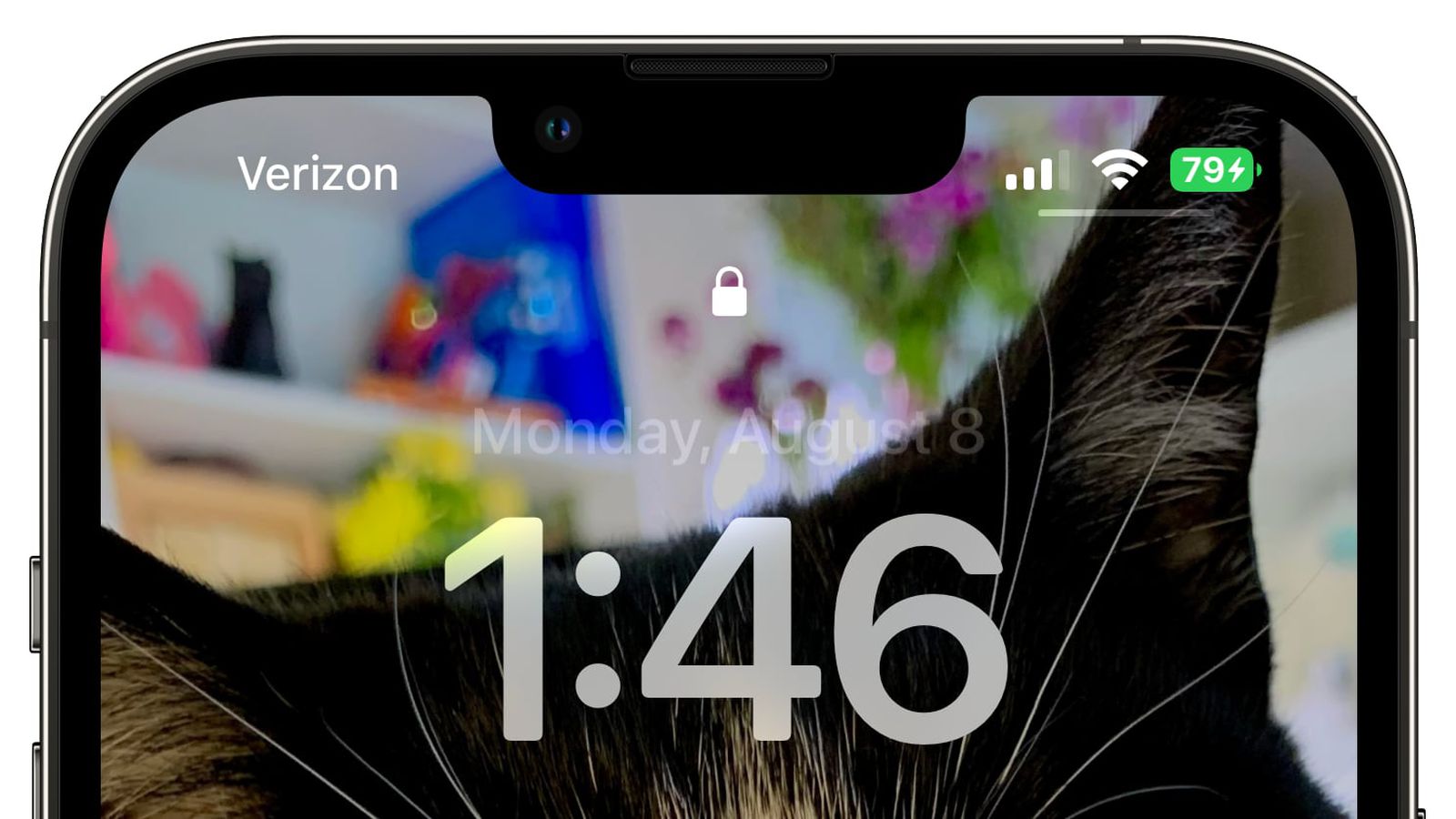 无极苹果手机维修分享iOS 16 beta 5 支持状态栏显示电池百分比，如何开启？支持哪些机型 