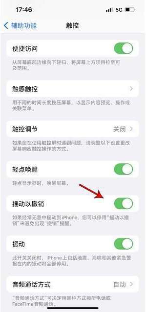 无极苹果手机维修分享iPhone手机如何设置摇一摇删除文字 