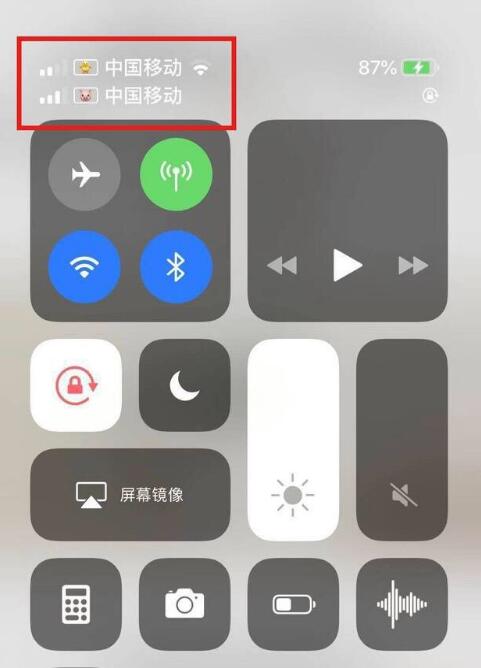 无极苹果手机维修分享为 iPhone 12 双卡设置标签 
