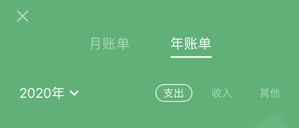 无极苹果手机维修分享如何在 iPhone 上查看支付宝和微信年支出账单 